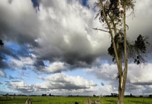 KY Game Card-塞尔维亚将在客场对阵葡萄牙，争取晋级资格