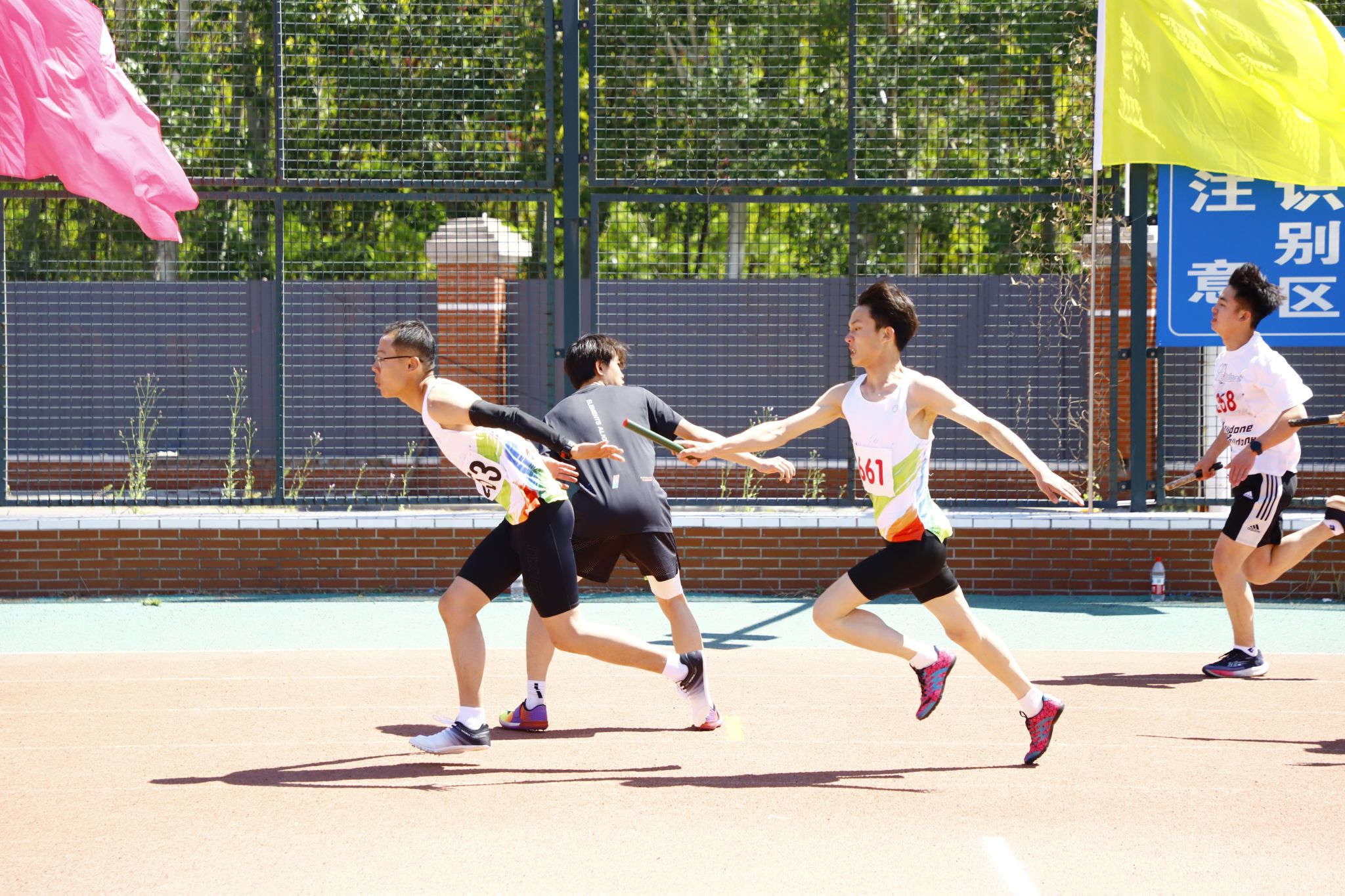 体育竞技风采展现畅游运动场上尽展风采