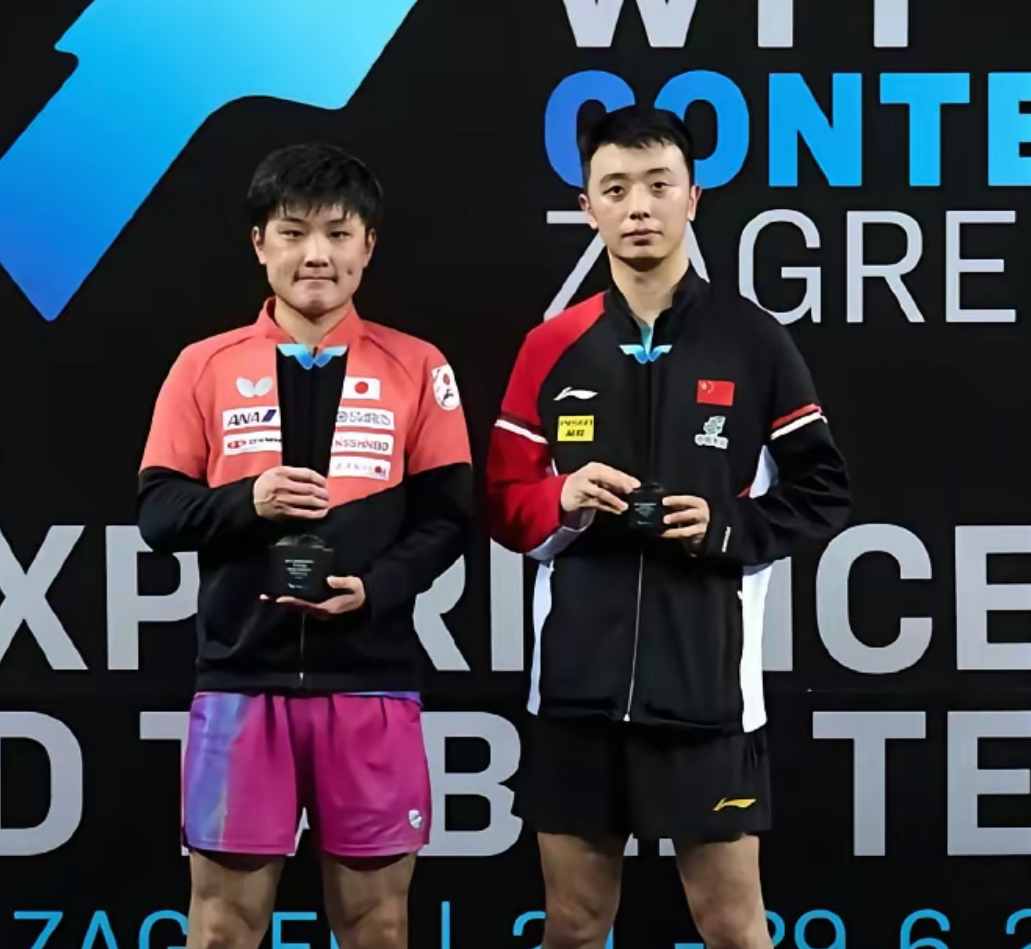 关于波兰队碾压瑞典队,张本智和统治全场的信息 关于波兰队碾压瑞典队,张本智和统治全场的信息